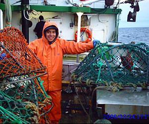UMass Amherst Ecologists among the First to Record and Study Deep-sea Fish Noises
