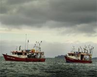 A Recipe For Saving The World's Oceans From An Extinction Crisis