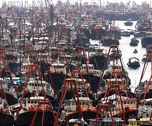 EU fishing fleets reap profits while taxpayers foot the bill