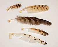 A beautiful wing design solution inspired by owl feathers