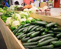Feeding a city with better food sources