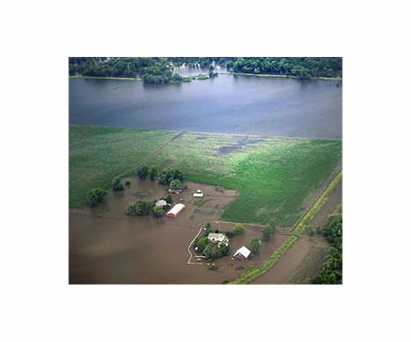 How crops can better survive floods