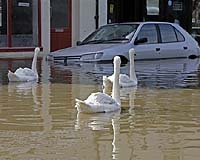 Floods To Become Commonplace By 2080