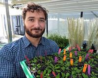How plants turn into zombies