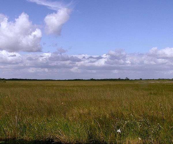 US announces historic $1.1 bn investment for Everglades rehabilitation
