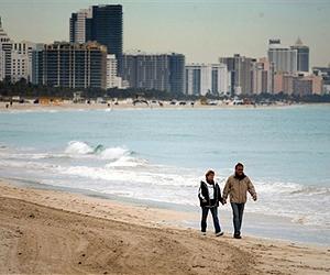 Cold decimates Florida saltwater fish