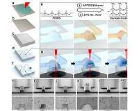 New 3D nanoprinting strategy opens door to revolution in medicine, robotics