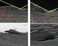 Discovery is key to metal wear in sliding parts