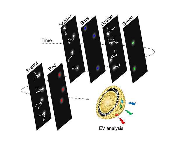 Tracking the movement of a single nanoparticle