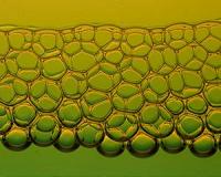 Protecting coral reefs with bubbles