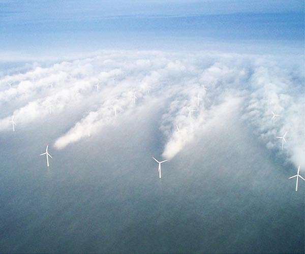 Large wind farms cause different effects for local and regional climates