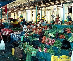 Climate change driving world towards food crunch: experts