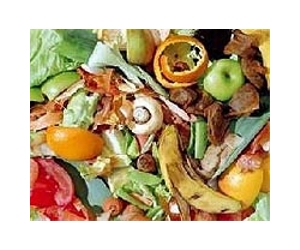 Report: World wastes half of its food