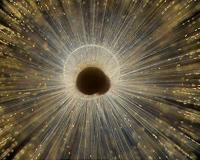 Atom-by-atom growth chart for shells helps decode past climate