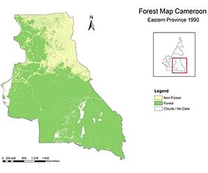 Cancun Offers Hope For Forests And Climate