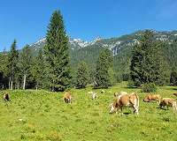 Land-based measures in Europe require food system transformation