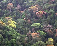 New Method For Measuring Biodiversity