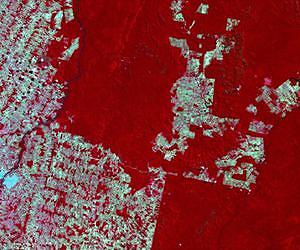 DMCii's detailed satellite imagery helps Brazil stamp out deforestation as it happens