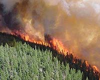 Forest fire haze disrupts air traffic in Indonesia's Sumatra: official