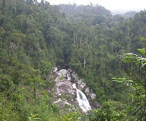 Telecoupling science shows China's forest sustainability packs global impact