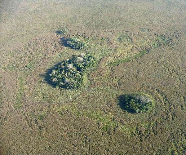 Twin crises: experts say nature and climate can't be siloed