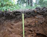 New research unravels the mysteries of deep soil carbon