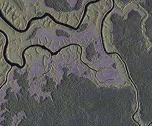 Gabon makes rare challenge to China over oil practices