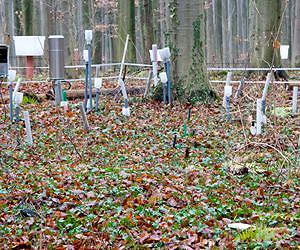 Food, water safety provide new challenges for today's sensors
