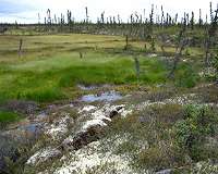 Climate solution in soil