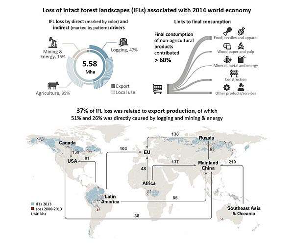 Forests face fierce threats from multiple industries, not just agricultural expansion