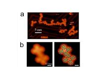 New reaction for the synthesis of nanostructures