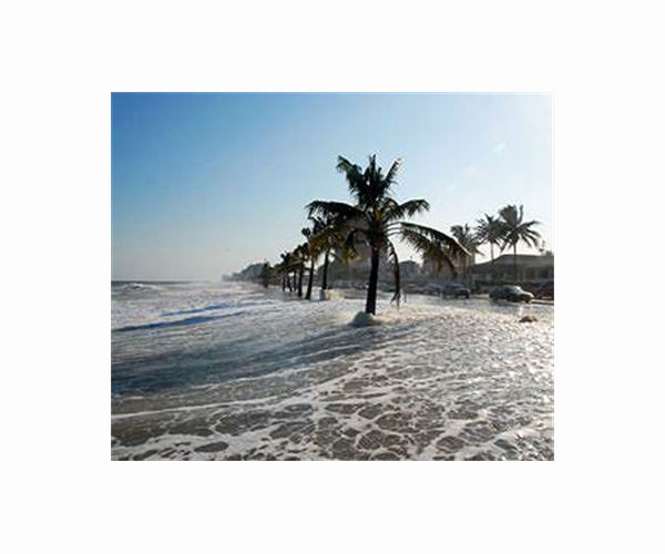 Flood-prone Miami to spend billions tackling sea level rise