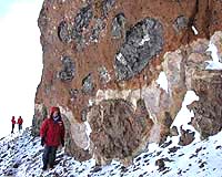 Ancient ecosystem found in Antarctica