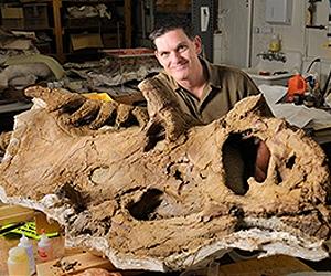 New Species Of Multi-Horned Dinosaurs Unearthed In Utah