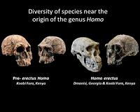 Smithsonian scientist and collaborators revise timeline of human origins