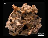 Tiny bubbles of oxygen got trapped 1.6 billion years ago