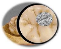 Neandertals and Upper Paleolithic Homo sapiens had different dietary strategies