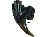 Dagger-like saber-toothed cat canines took years to grow