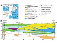 The walking dead: Fossils on the move can distort patterns of mass extinctions