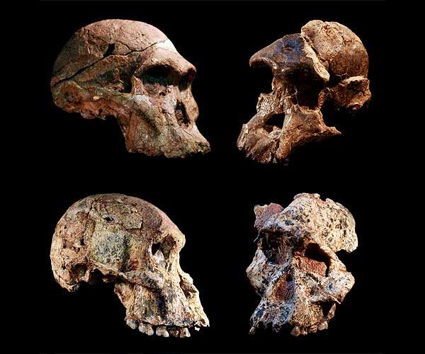Famous Sterkfontein Caves deposit 1 million years older than previously thought