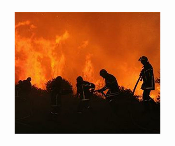 France seeks to 'stabilise' wildfire raging in the south