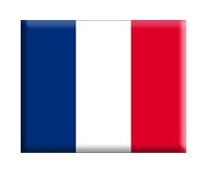 France pulls plug on Internet forerunner Minitel