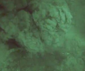 Dead Sea researchers discover freshwater springs and numerous micro-organisms