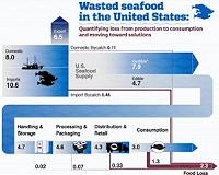 Nearly half of US seafood supply is wasted