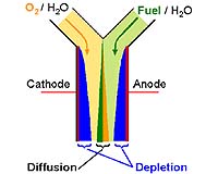 National Fuel Cell Center Launched With NSF Award