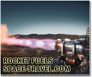 Pee power: Urine-loving bug churns out space fuel