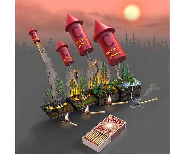 Fuels, not fire weather, control carbon emissions in boreal forest