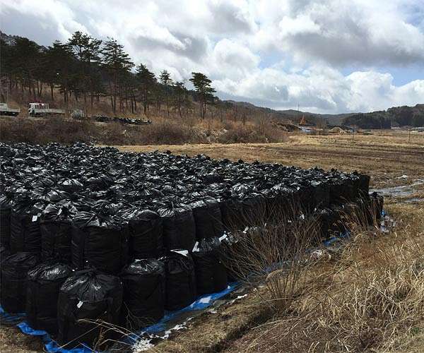 Ministry says possibly radioactive metal stolen from Fukushima