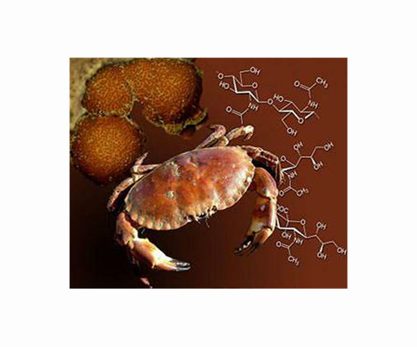 New pathogen likely culprit for mass crab deaths: UK study