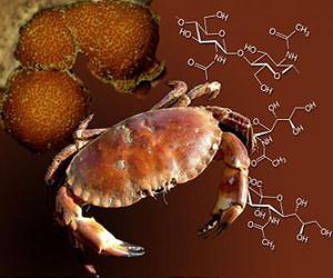 Pharmaceuticals from crab shells